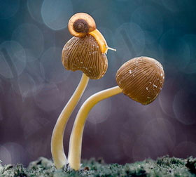 短信测压准确吗